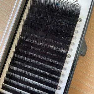 Borboleta Lash Extensions, B-curl, .15 diameter and 7-15 lengths in one tray.
